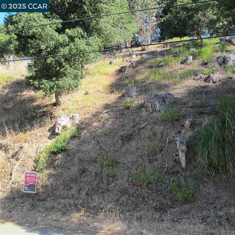 $14,000 PRICE REDUCTION! Beautiful up slope lot in the gorgeous Shepherd Canyon. It feels like Tahoe but it's just minutes from: Montclair Village shopping; freeways 13, 24 and 580; Rockridge and Orinda BART; the Redwood, Sibley, Huckleberry and Jocquin Miller Parks; the Hills Swim and Tennis Club and much more. Build your dream home here!