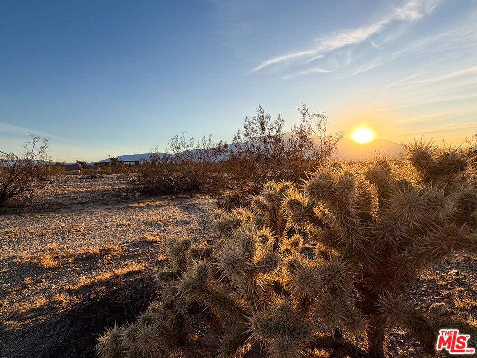 Not in a Development - Land