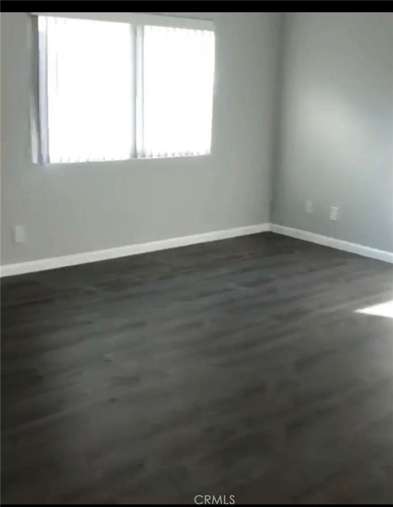 21128 Gladiolos