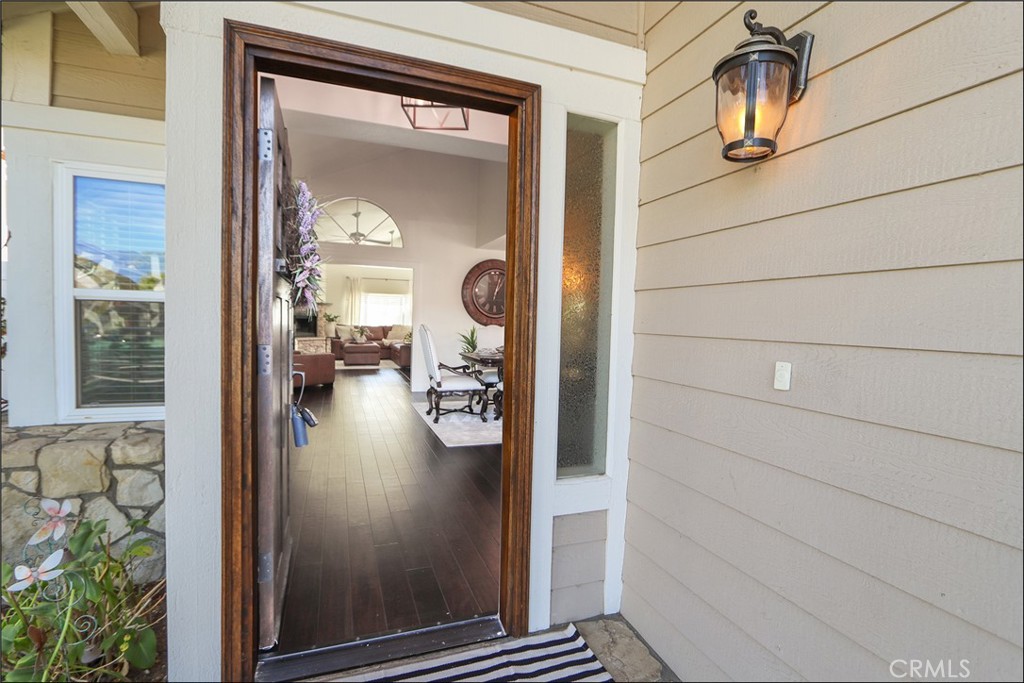 28752 Vista Saddleback