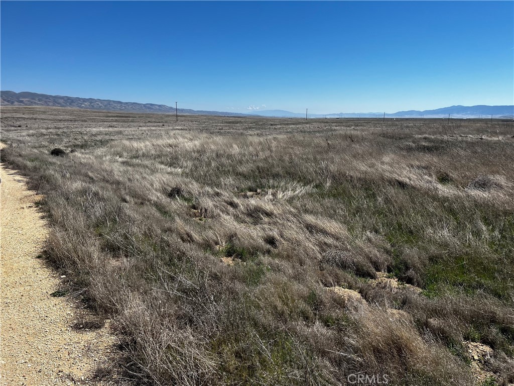 Carrizo Plains/California Valley(62) - Land