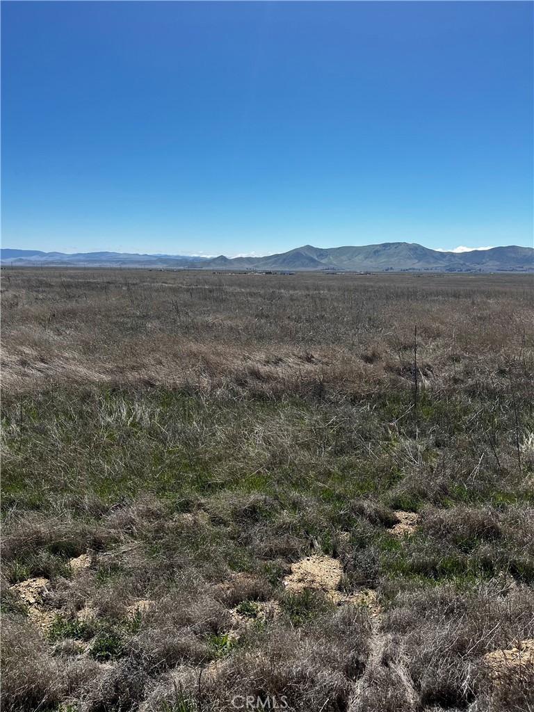 Carrizo Plains/California Valley(62) - Land