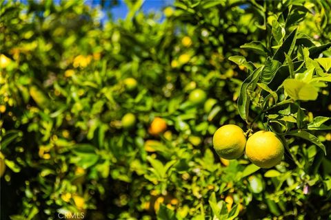 Tiny photo for 1685 Corbett Highlands Place, Arroyo Grande, CA 93420 (MLS # SC25144323)