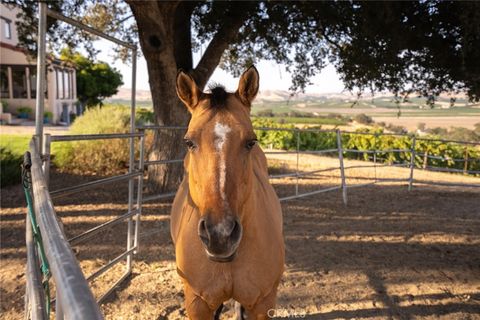 Tiny photo for 7010 Wilderness Lane, Paso Robles, CA 93446 (MLS # NS26028197)