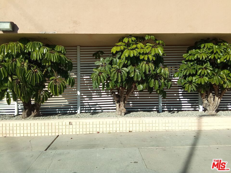 15312 S Normandie Avenue 103