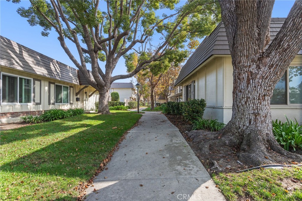 Tangle Wood North - Residential