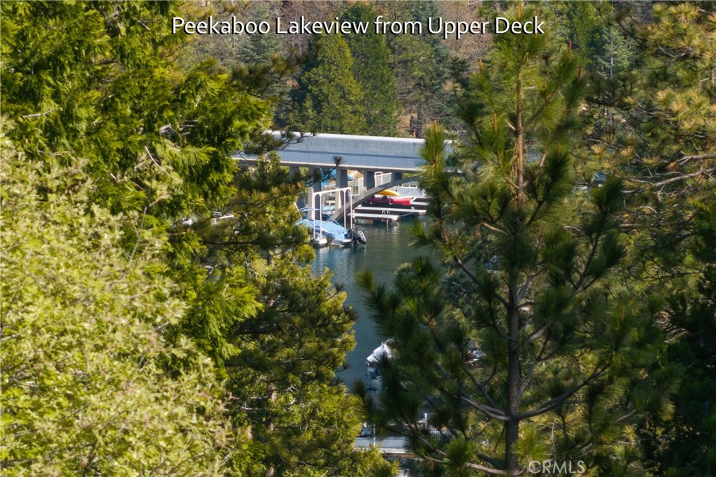 164 Birchwood Drive