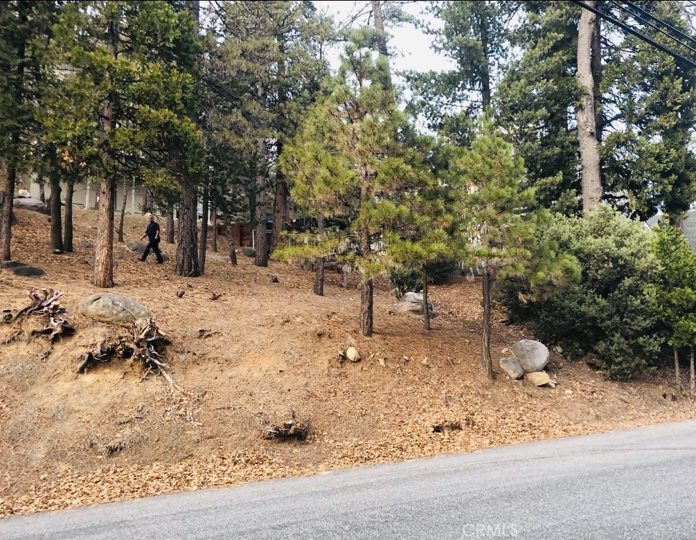 Arrowhead Woods (AWHW) - Land