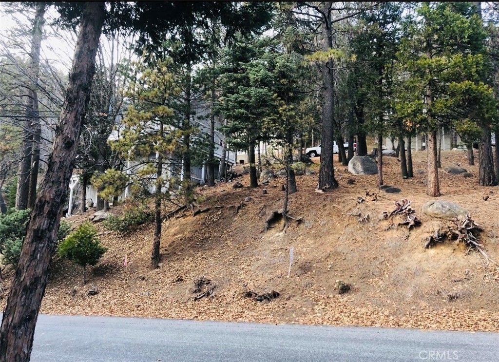 Gently sloping buildable lot with LAKE RIGHTS! Utilities are available, and the land offers dual access with a gentle incline from Pinewood Drive leading to a fully asphalted access road (Darkwood Drive). Perfect for building your dream home, this beautiful property is located close to the lake, Lake Arrowhead Village, and Blue Jay. With the potential for dual access, the design possibilities are endless!