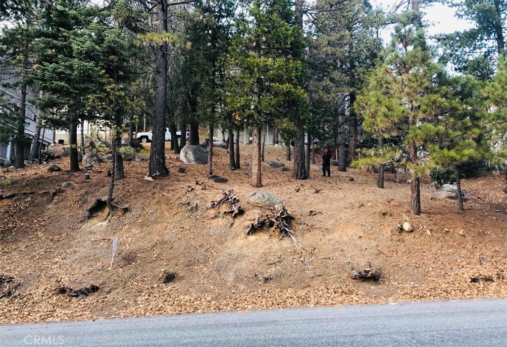 Arrowhead Woods (AWHW) - Land