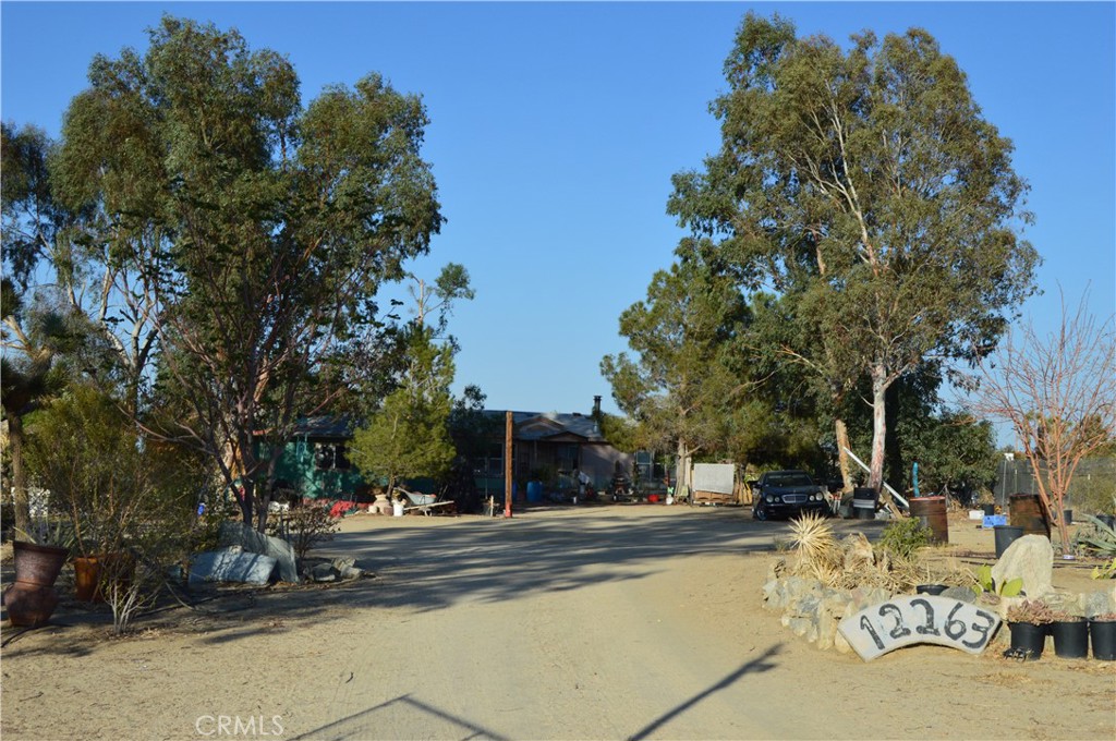 12263 Mountain Road