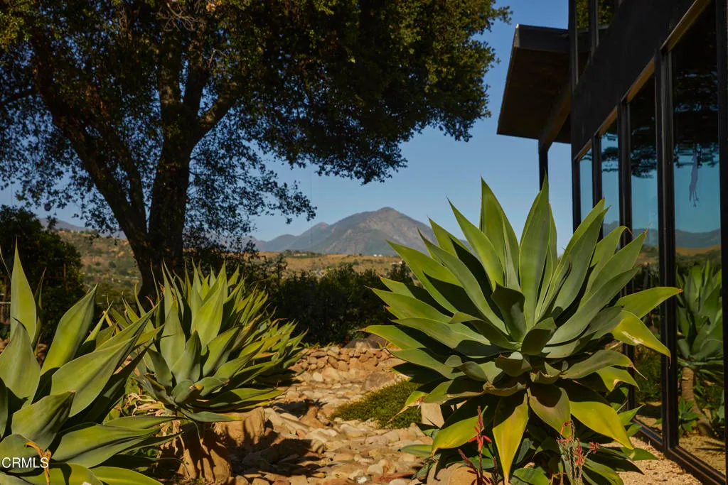 Santa Paula, California 93060, United States, 3 Bedrooms Bedrooms, ,3 BathroomsBathrooms,Residential,Active,153977