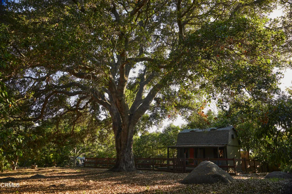 Santa Paula, California 93060, United States, 3 Bedrooms Bedrooms, ,3 BathroomsBathrooms,Residential,Active,153977