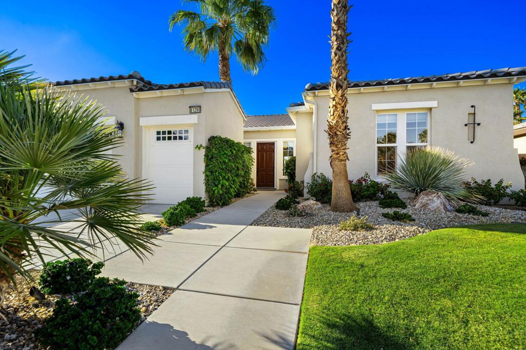 81290 Barrel Cactus Road