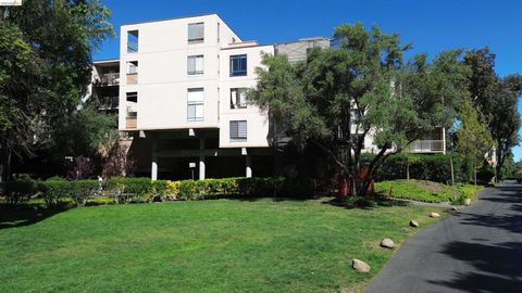 Photo of 330 N Civic Dr Dr #301, Walnut Creek, CA 94596 (MLS # 41129378)