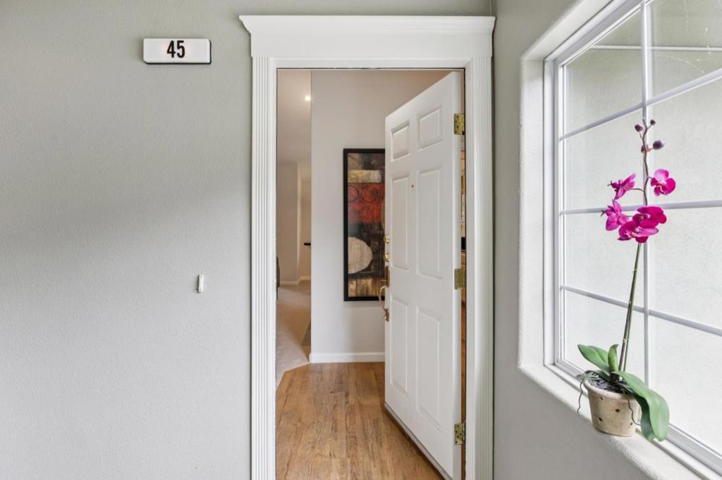 20 Willow Road 45