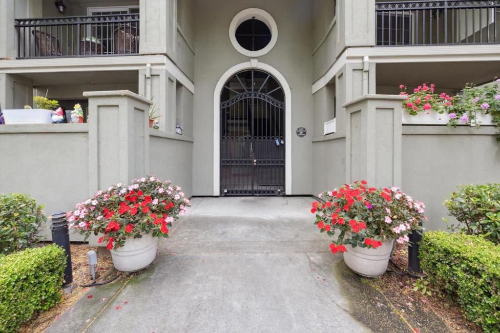 20 Willow Road 45