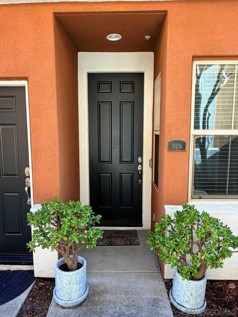 9216 Calmante Lane