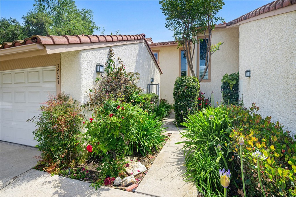 3723 Oak Glen