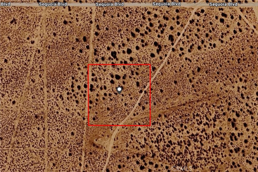 35.096258,-117.706680