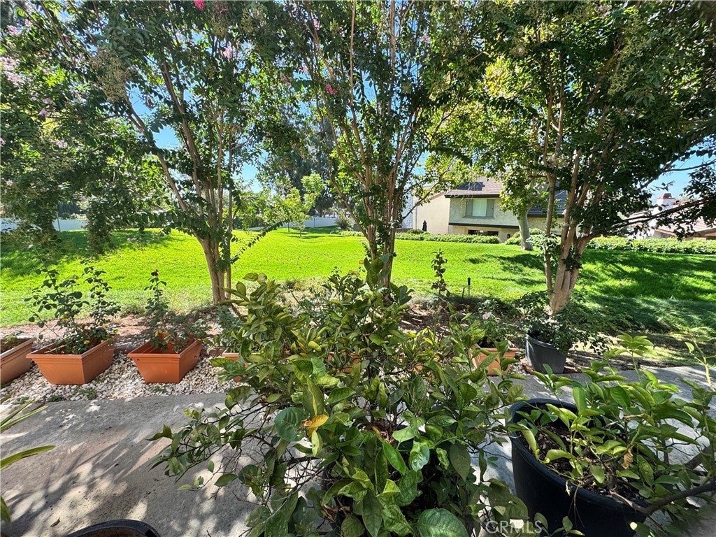 1218 Tamarisk