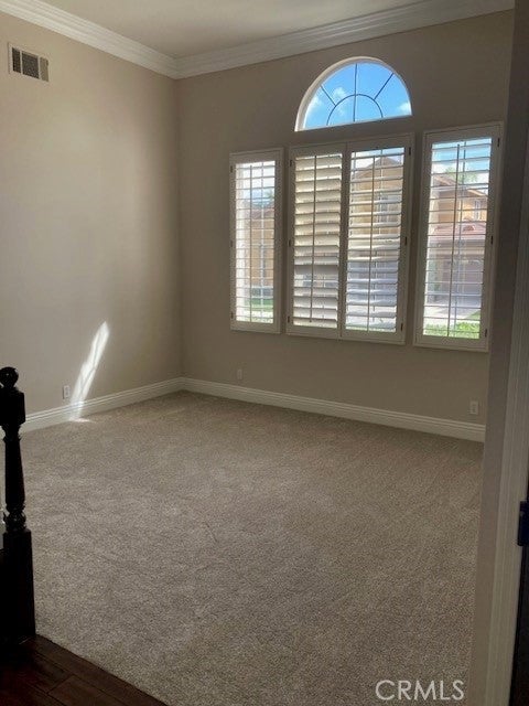 19 Spring View