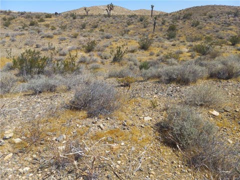 Photo of 0 Vancover, Adelanto, CA 92301 (MLS # IV26159899)