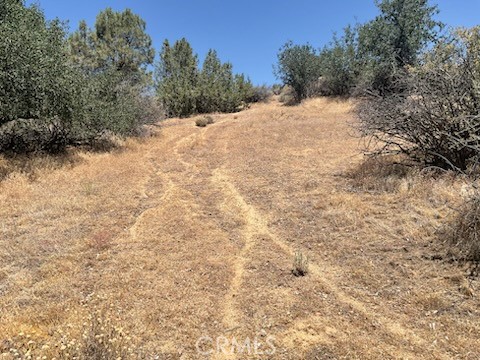 Power on the property! Owner will carry with 50% down! Gorgeous 20 acre parcel with power on the property. There is a graded driveway that is now overgrown with brush that goes to the top where you will find an approximate 15,000 square-foot pad with an incredible view. This property is one lot west of the home at 15185 Rancherita Creek Road. Must see!