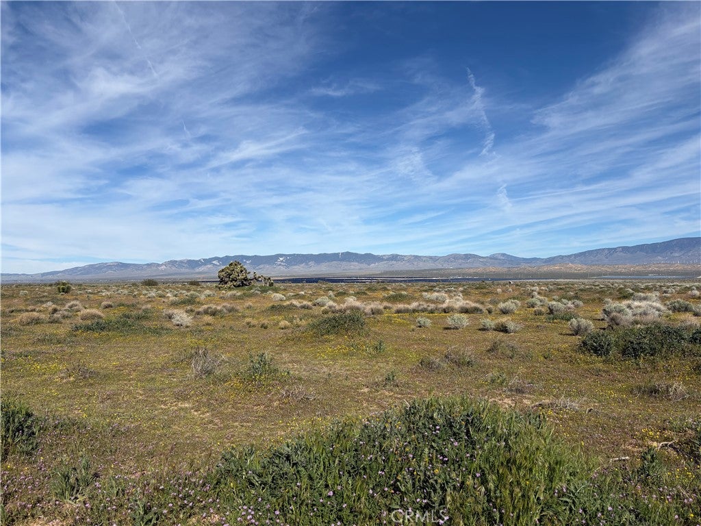 0 Drylake