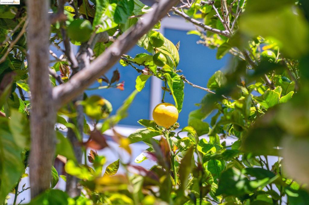 TARA HILLS - Residential