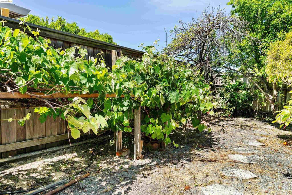 TARA HILLS - Residential