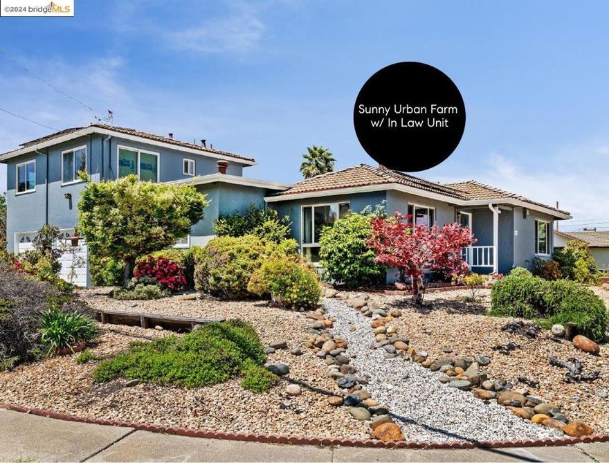 Nestled in a prime Tara Hills setting, this delightful "Urban Farm" offers the perfect combination of a suburban feel in a prime location. A spacious 6,700 sqft corner lot invites a sense of expanding openness & ample light. Three bedrooms & two baths, plus a separate upper one-bed, one-bath in-law featuring treetop views of San Pablo Bay & Mt Tam w/ a nice private deck, affords endless flexibility. A charming sun-drenched backyard is perfect for outdoor living & entertaining with a covered patio and hot tub. Mature landscaping populated with Orange, Mandarin, Apricot, Concord grapes and more provides those with a green thumb plenty of gardening inspiration – and fresh produce for the table! A well-designed floor plan balances a formal living room and dining, complete with wood plank ceiling and beams that flow seamlessly into the updated kitchen with quartz countertops, new sink / faucet plus fresh paint that connects to both the garage and backyard. Single level living and recently refreshed, this home is move-in ready with large dual-pane windows, newer A/C, plus solar. Minutes from shopping at Pinole Vista, farmers markets & outdoor adventures at Tilden Regional, Pt Pinole Shoreline and Wild Cat Canyon.EZ access to the San Rafael & Carquinez Bridges plus Highways 80, 4 & 580!