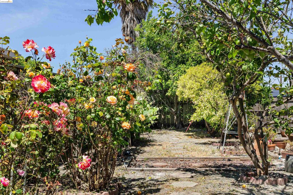 TARA HILLS - Residential