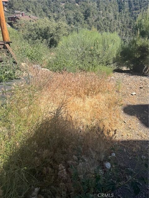 Photo of 2505 2505 Glacier, Pine Mountain Club, CA 93225 (MLS # SR25226047) Photo of 2505 2505 Glacier, Pine Mountain Club, CA 93225 (MLS # SR25226047)