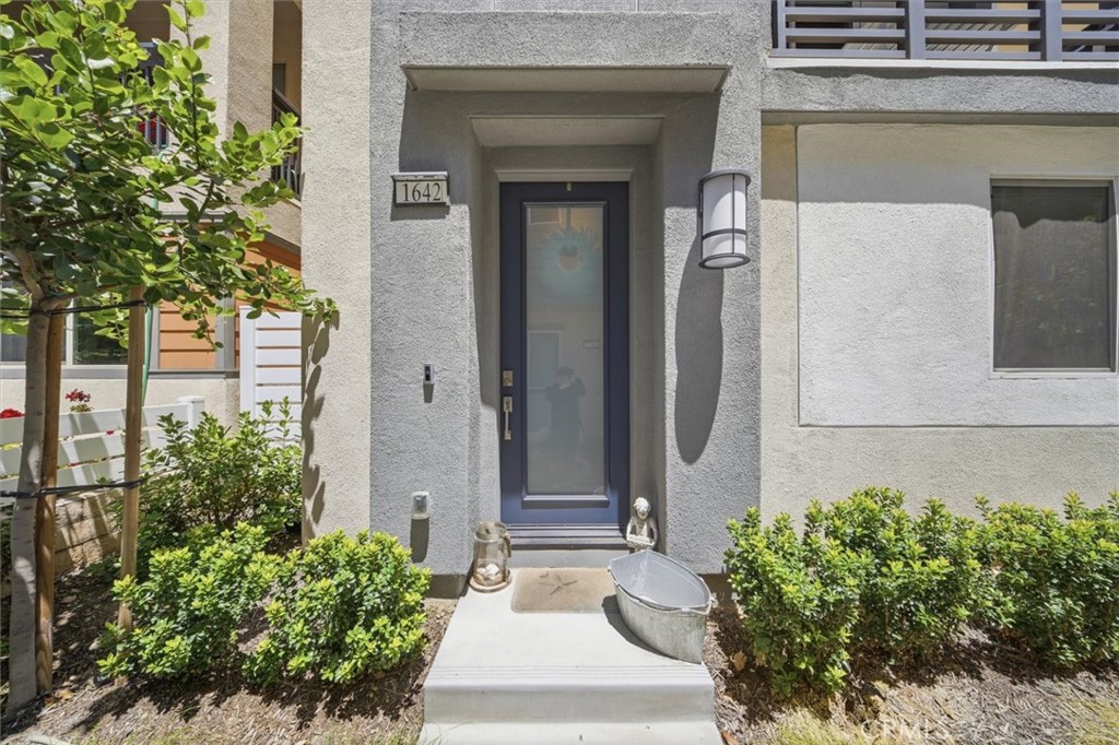 1642 W Saratoga Lane