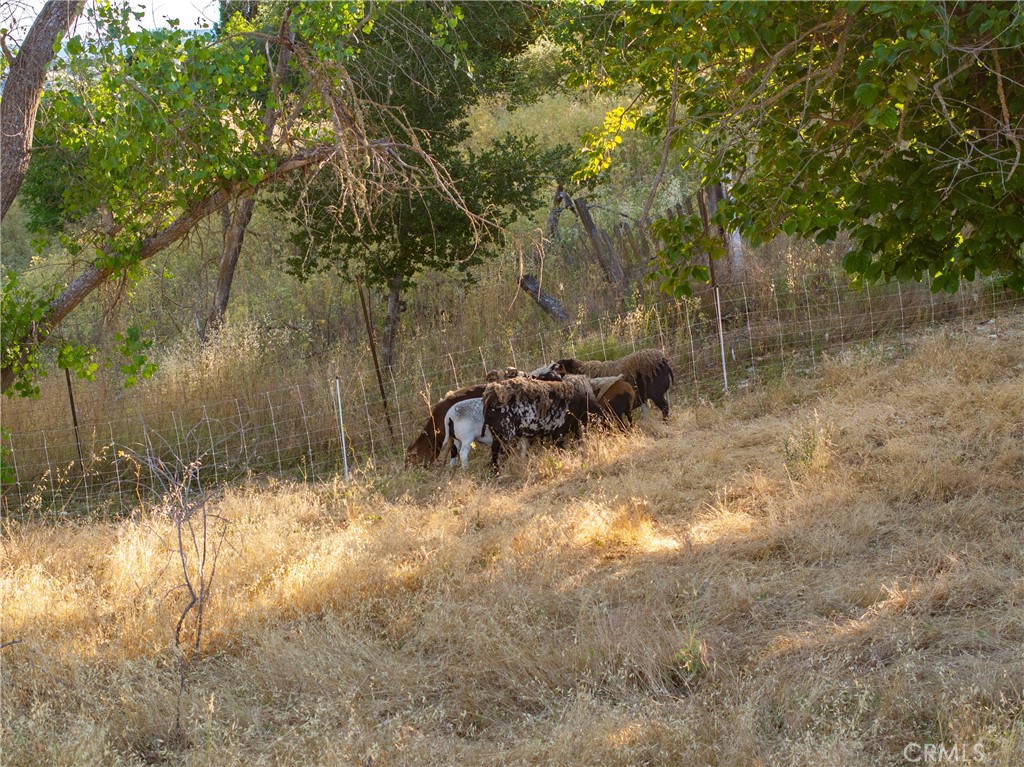 PR Rural West(250) - Residential