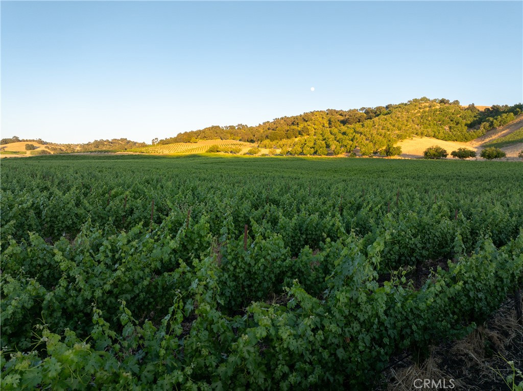 PR Rural West(250) - Residential