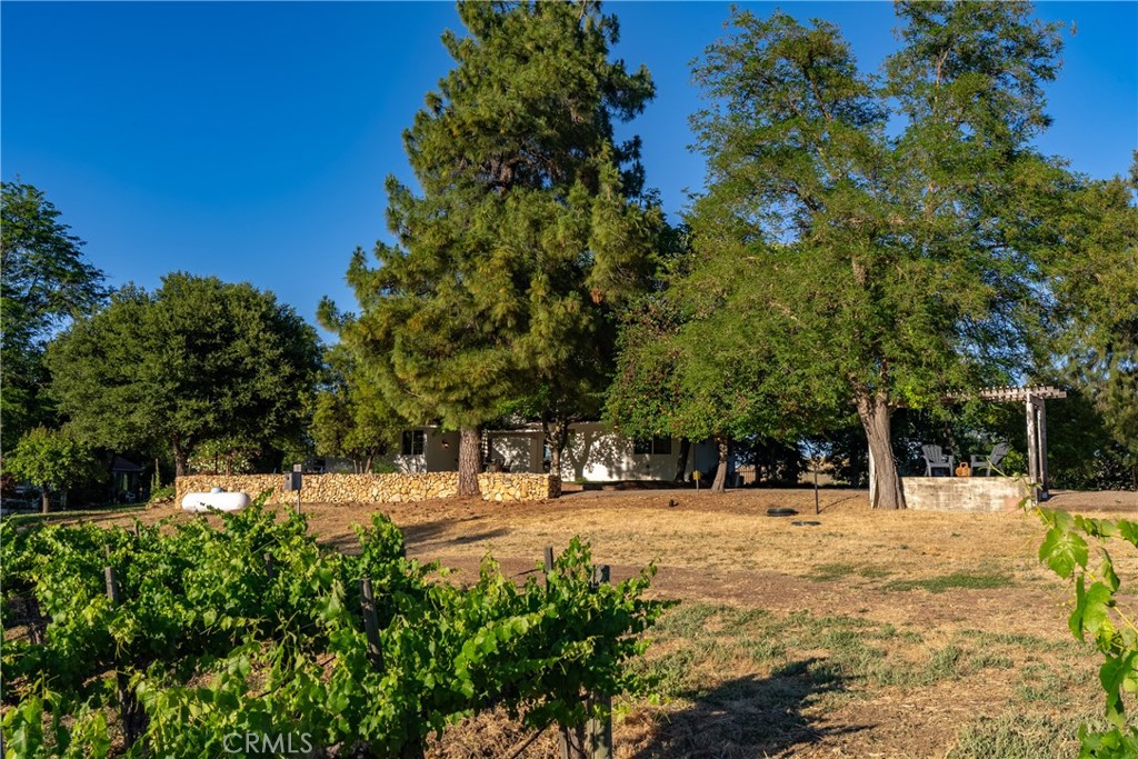 PR Rural West(250) - Residential