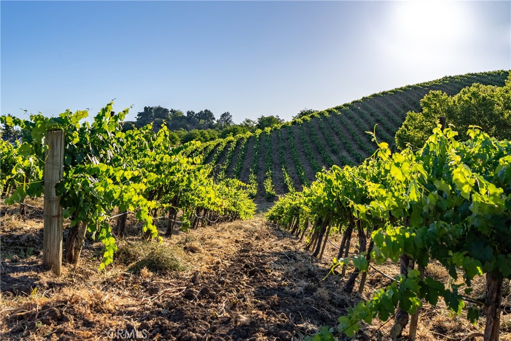 PR Rural West(250) - Residential