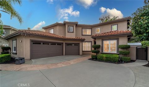 3 Siega Rancho Santa Margarita CA 92688