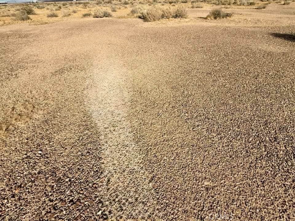 0 Unknown 0496-083-19