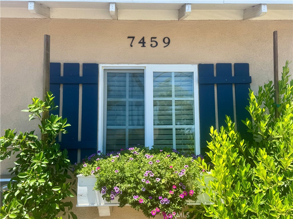 7459 Vanalden Avenue