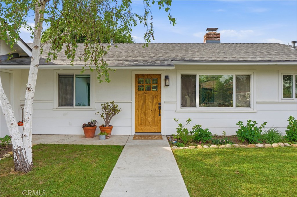 1644 Birch