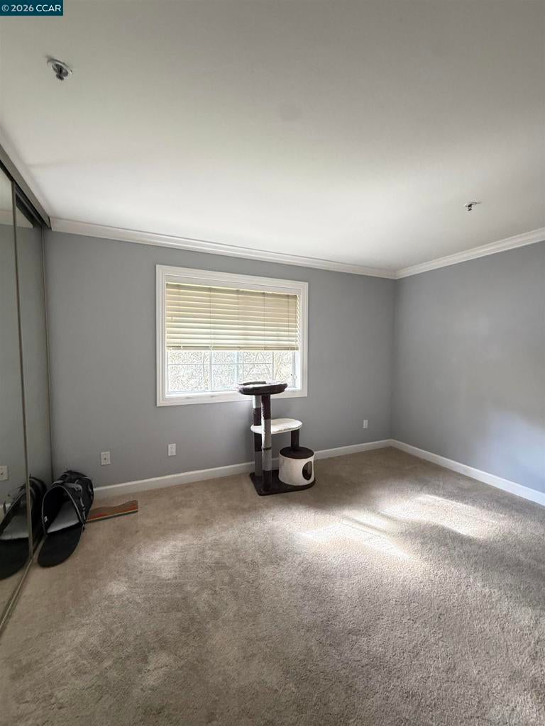 785 Watson Canyon Ct 247