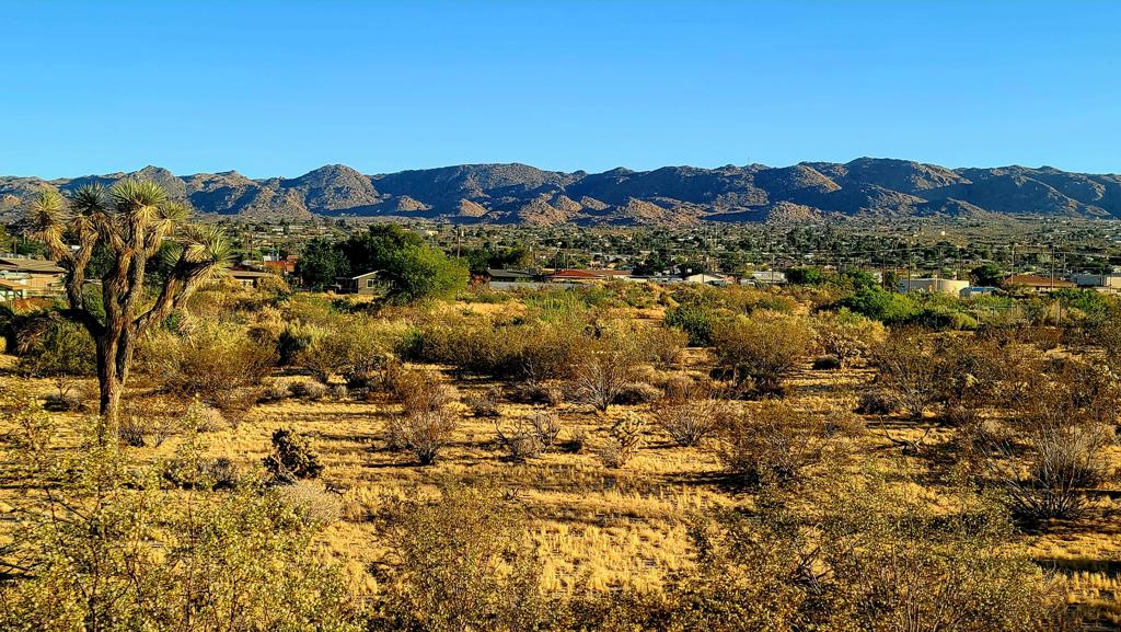 Not Applicable-1 - Land