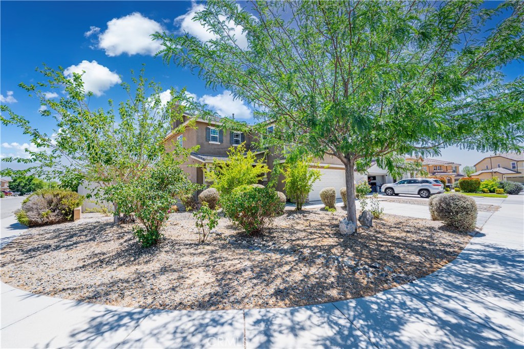 14483 Wapiti Way