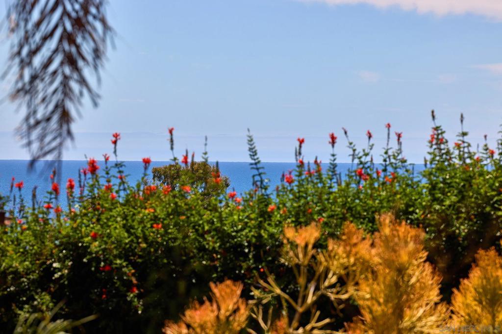 Del Mar - Residential