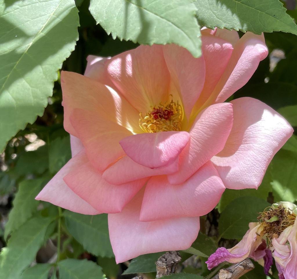 Not Applicable-1 - Residential