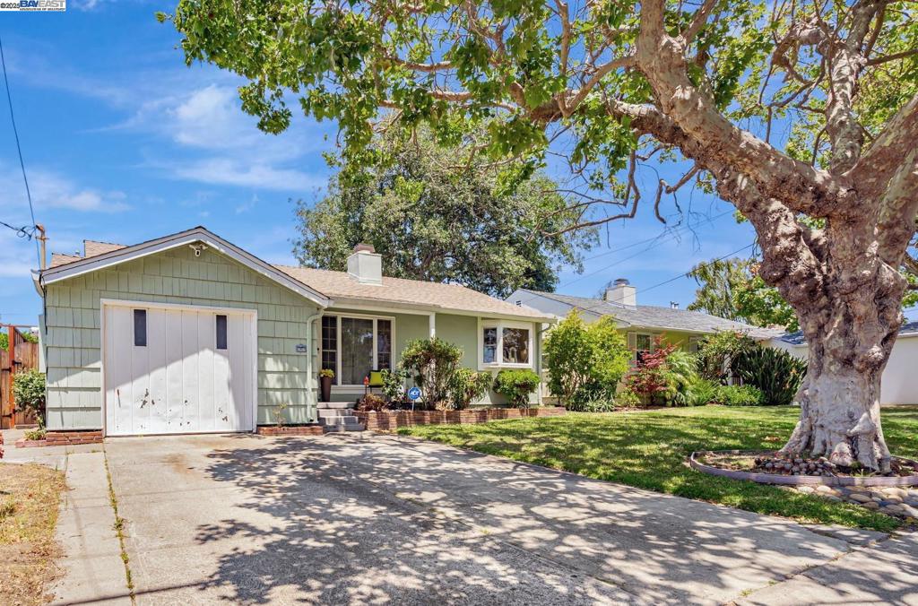 OPEN HOUSE 7/19 & 7/20 from 1pm - 4pm! Step Inside This San Lorenzo Village Charmer & fall in love with this beautifully updated 3-bedroom, 2-bath home offering 1,468 sq ft of comfort and character. Gleaming wood floors and fresh paint throughout welcome you into a bright and inviting space. The living room features a large front window that fills the space with natural light, complemented by a cozy wood-burning fireplace—perfect for those cool Bay Area evenings. The cozy kitchen includes modern lighting and a skylight, creating a cheerful atmosphere for cooking. The breakfast bar, ideal for casual meals or morning coffee, flows to the adjoining dining area, also with a skylight. Need extra room? The family room with a gas fireplace is perfect for movie nights, game nights, or entertaining guests. Sliding glass doors lead to a low-maintenance backyard lined with fruit trees and plants—your own peaceful outdoor retreat. A versatile storage shed with power offers the perfect opportunity for a SHE-shed, MAN-cave, or creative workspace. Don’t miss this rare blend of charm, comfort, and functionality in the heart of San Lorenzo Village, located within walking distance to schools, parks, food, and public transportation, with easy access to freeway 880, 238, & 580