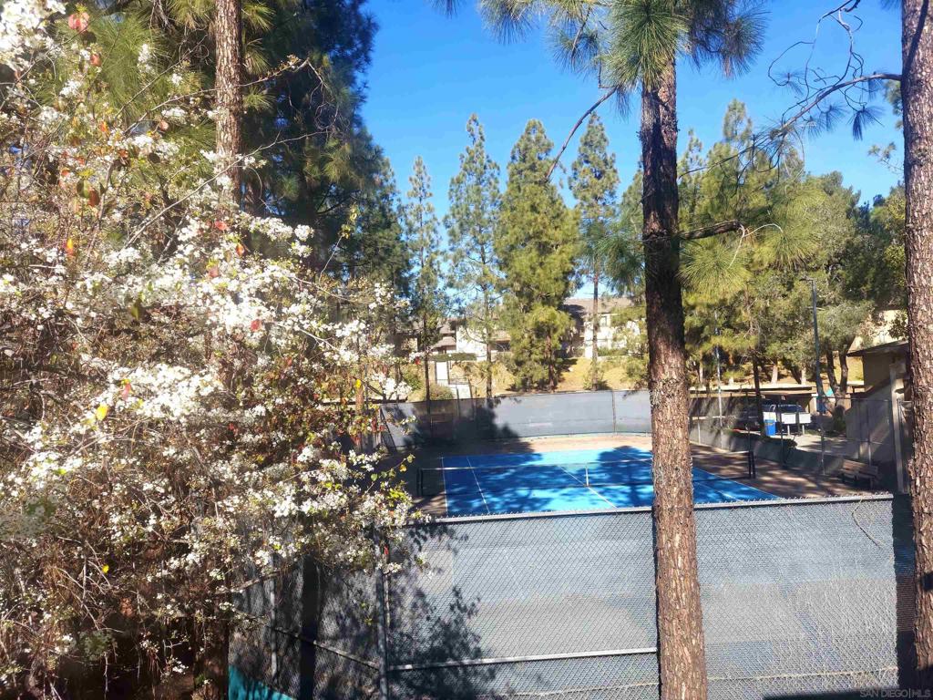 10258 Black Mountain Road 146